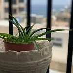 Spacious Seaview Apt, Steps From Valletta Ferry Διαμέρισμα