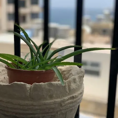 Spacious Seaview Apt, Steps From Valletta Ferry Apartment